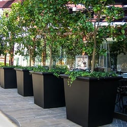 11-Tuscana-Tapered-Square-Black-with-Casters